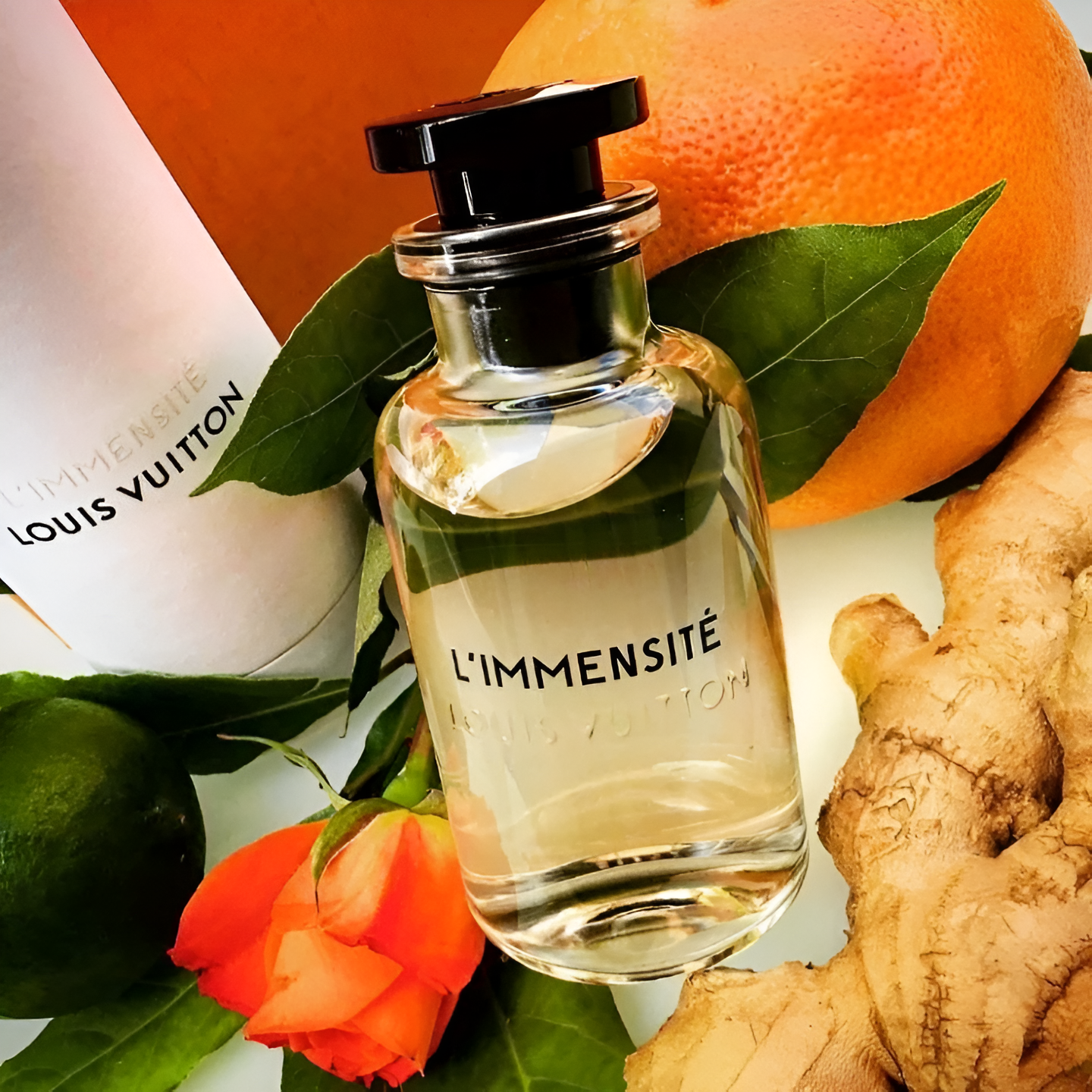Louis Vuitton's L'Immensité