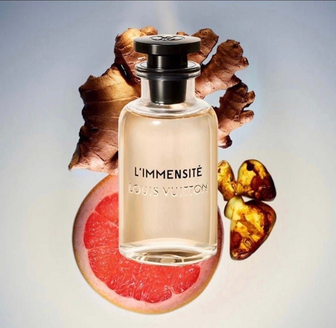 Louis Vuitton's L'Immensité