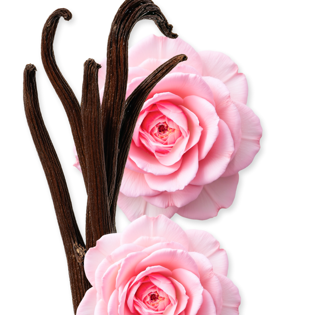 Delina by Parfums de Marly