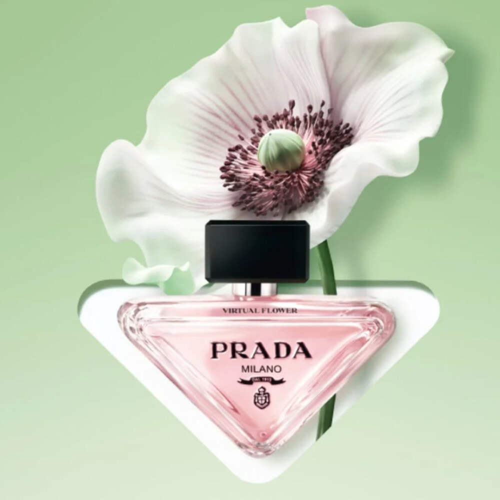 Prada Paradoxe