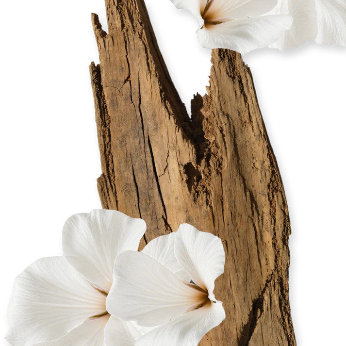 VALAYA by Parfums de Marly