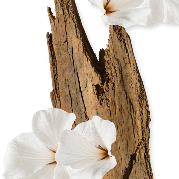 VALAYA by Parfums de Marly