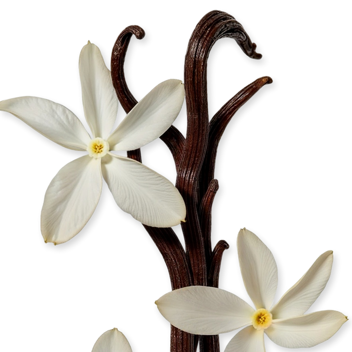 Safanad by Parfum de Marly