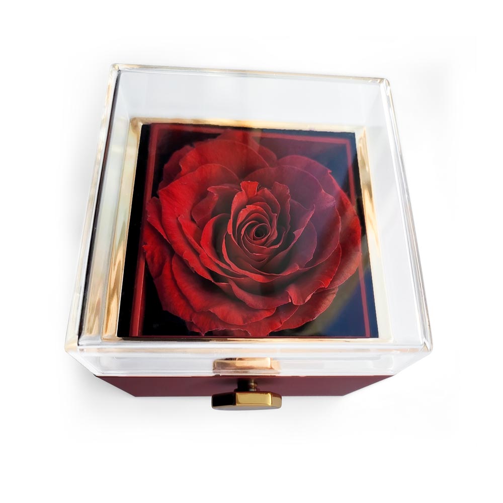 Have a Happy Mother's Day with Love Knot Necklace and Preserved Red Rose